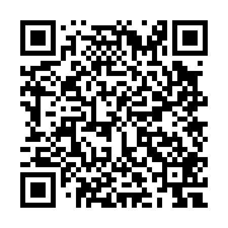 QR code for ZLO009