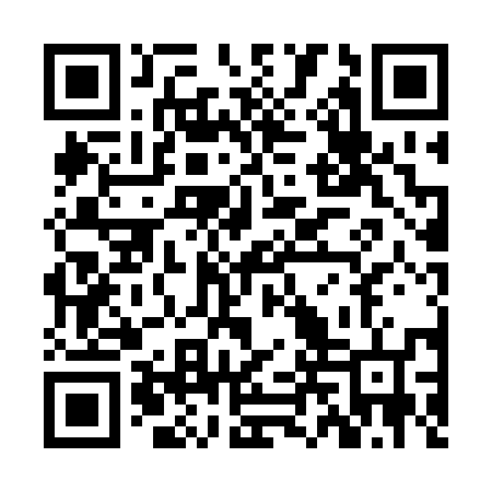 QR code for ZLP256