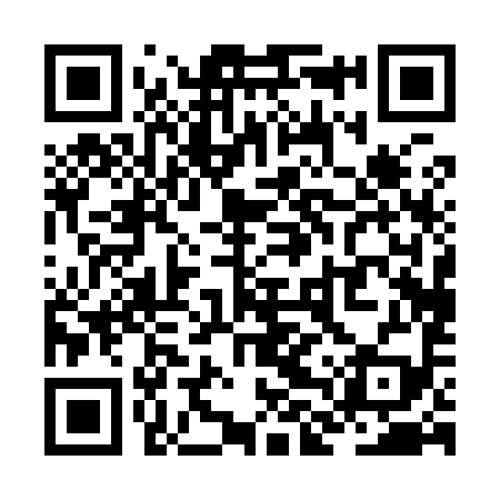 QR code for ZLP999