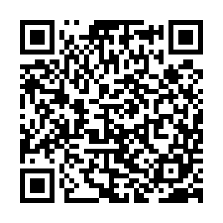 QR code for ZLQ545