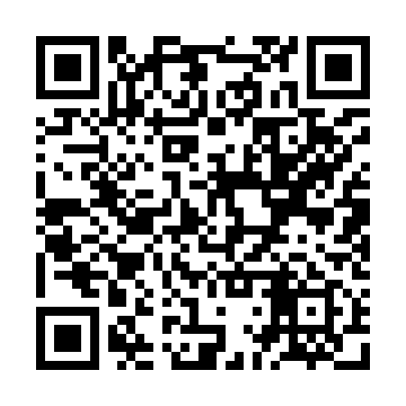 QR code for ZLQ919