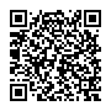 QR code for ZLR198
