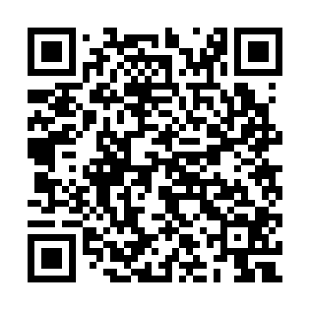 QR code for ZLR304