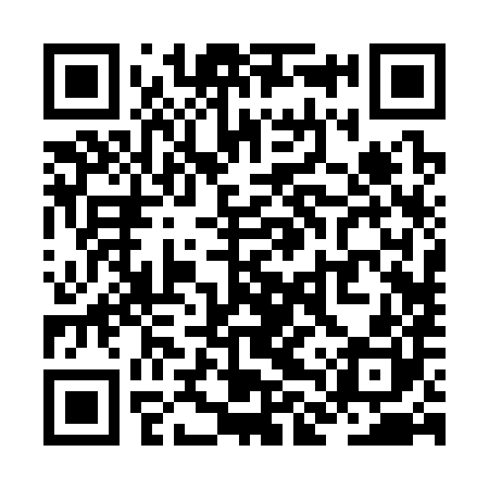 QR code for ZLR380