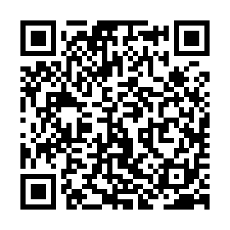 QR code for ZLR911