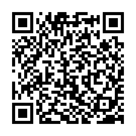 QR code for ZLS399