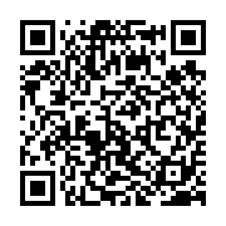 QR code for ZLS611