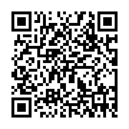 QR code for ZLS941