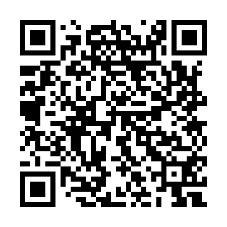 QR code for ZLS950