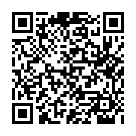 QR code for ZLT161