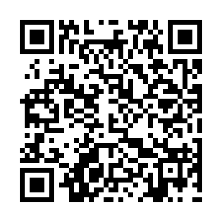 QR code for ZLT393