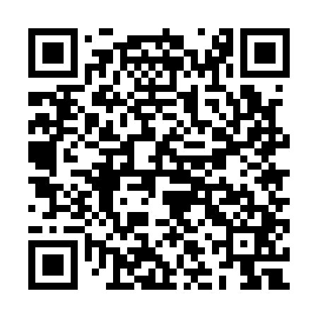 QR code for ZLU141