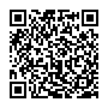 QR code for ZLU380