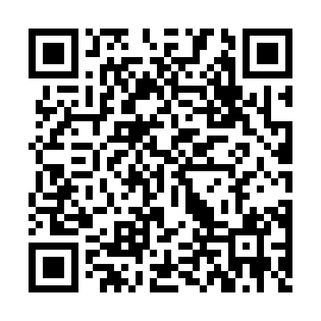 QR code for ZLU381
