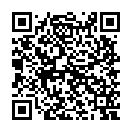 QR code for ZLU555