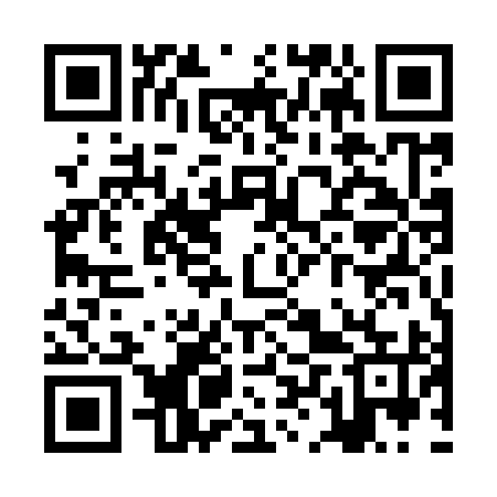 QR code for ZLU995