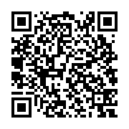 QR code for ZLV339