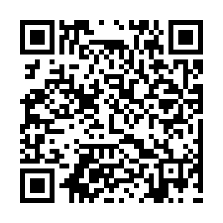 QR code for ZLV384