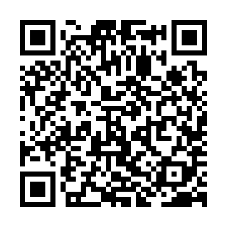 QR code for ZLV389