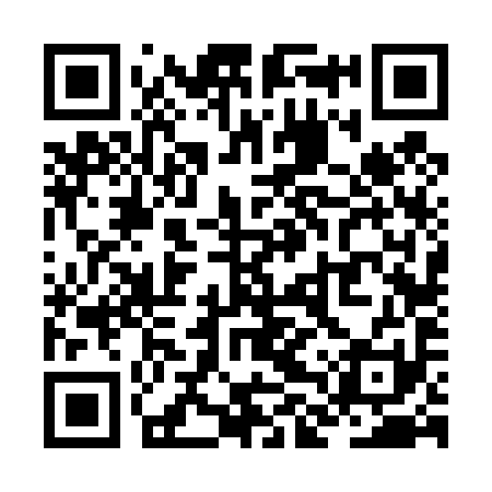 QR code for ZLV491