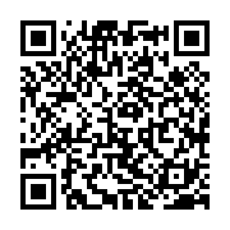 QR code for ZLX031