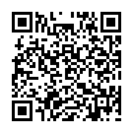 QR code for ZLX311