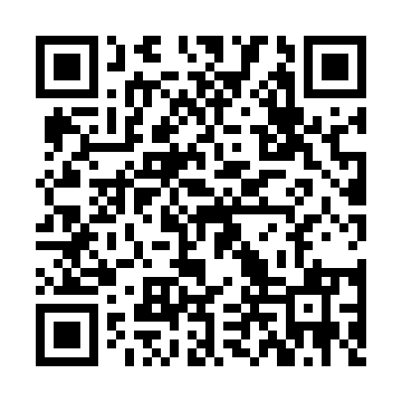 QR code for ZLX551