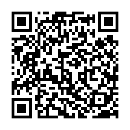 QR code for ZLX609