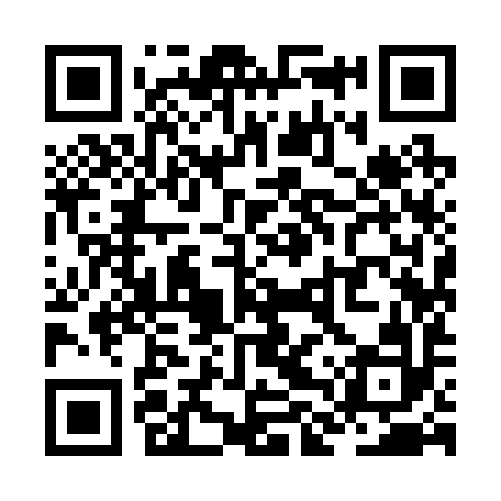 QR code for ZLY292