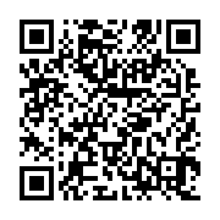 QR code for ZLZ203