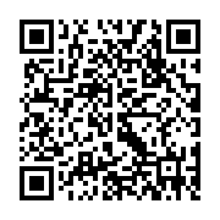 QR code for ZLZ272