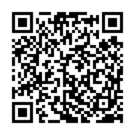 QR code for ZLZ653