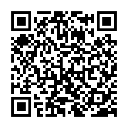 QR code for ZMG228