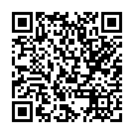 QR code for ZMG369