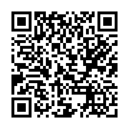 QR code for ZMJ166