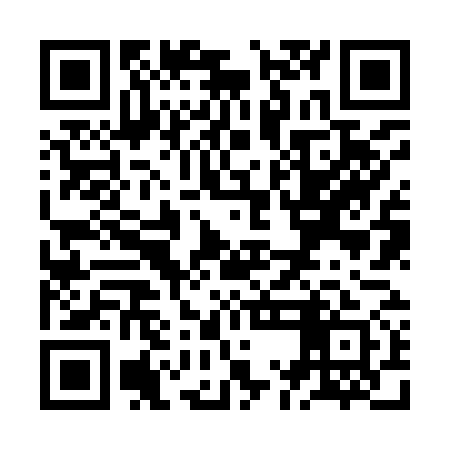 QR code for ZMJ971