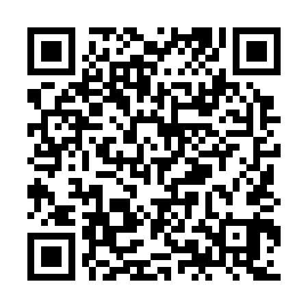 QR code for ZML341