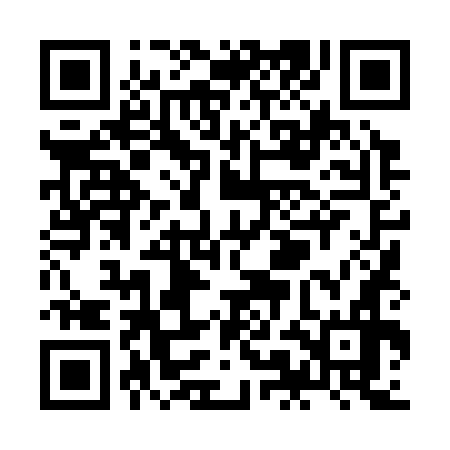 QR code for ZML376
