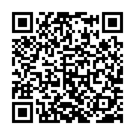 QR code for ZML389