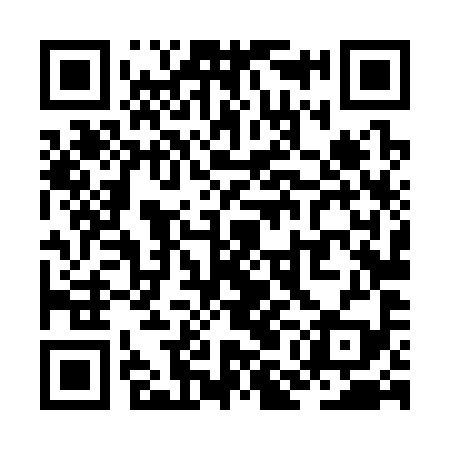 QR code for ZML399