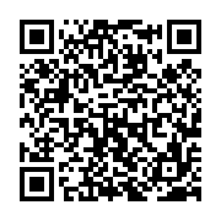 QR code for ZML416