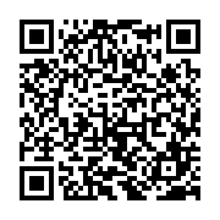 QR code for ZMM306