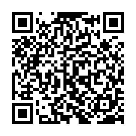 QR code for ZMM995