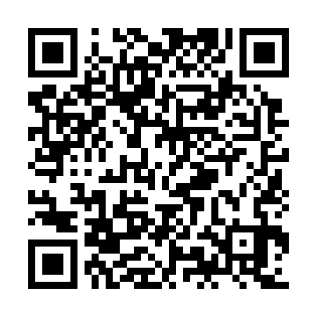 QR code for ZMN333