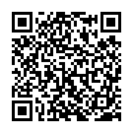 QR code for ZMN663