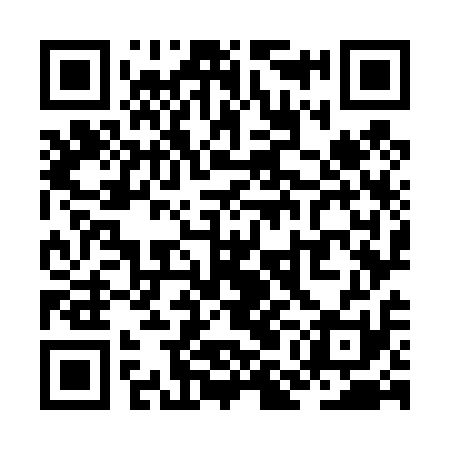 QR code for ZMO411