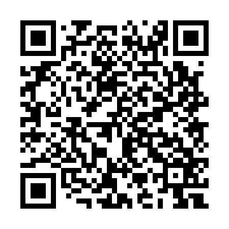 QR code for ZMP166