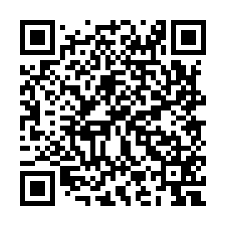 QR code for ZMP955