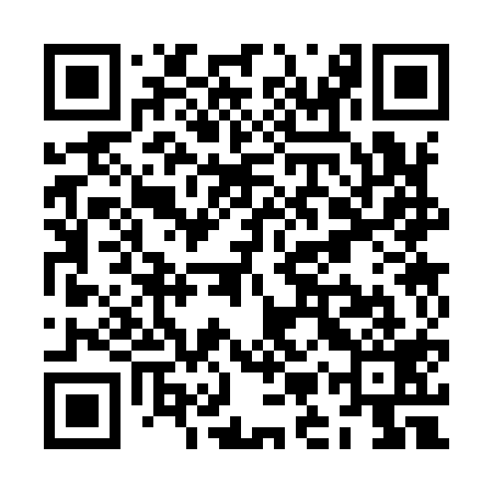 QR code for ZMS919