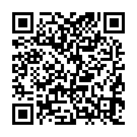 QR code for ZMS951